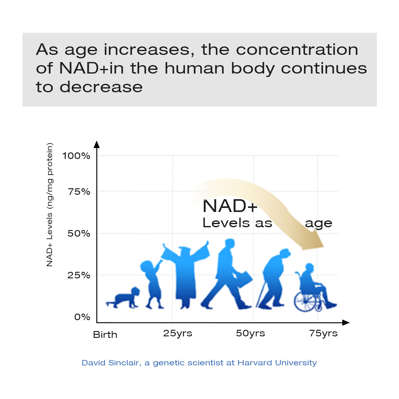 AIDEVI NAD+ 15000 Supplement