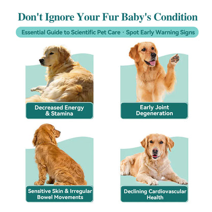 HaBibi® Doggy NMN Longevity Formula – Vitality, Joint & Healthy Aging Support