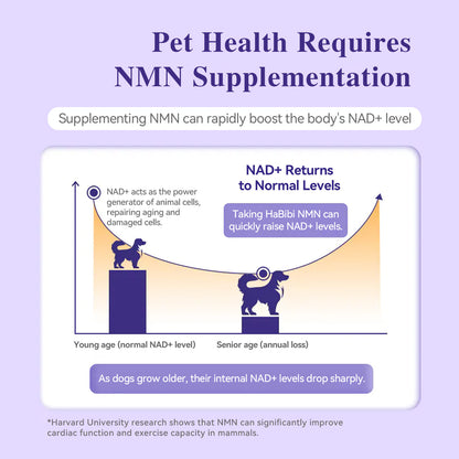HaBibi® NMN Supplement for Large Dogs – Vitality, Mobility & Healthy Aging Support