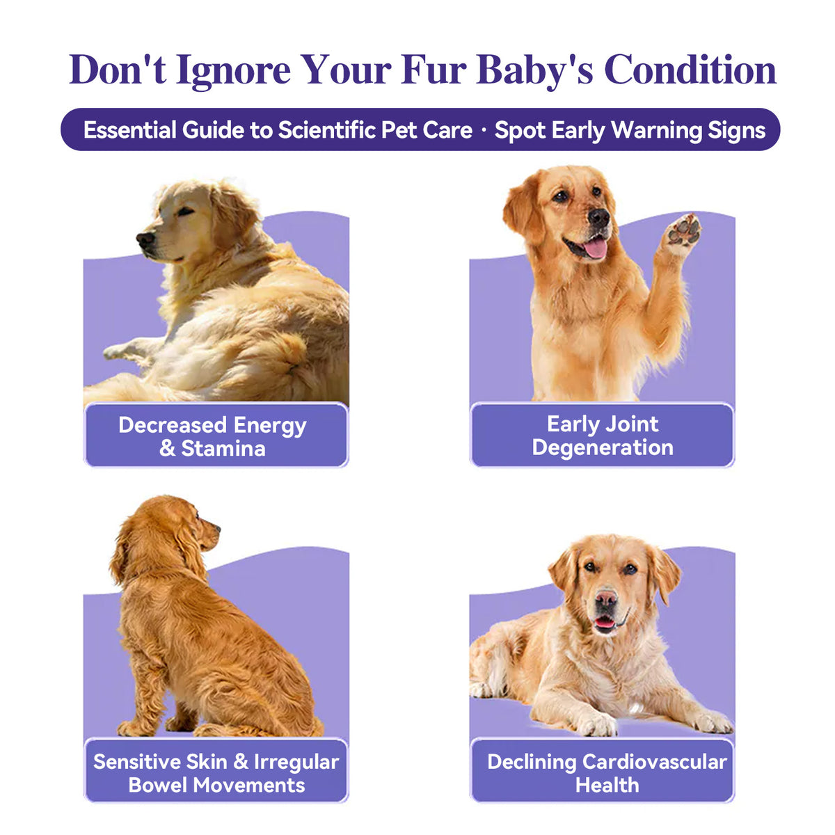 HaBibi® NMN Supplement for Large Dogs – Vitality, Mobility & Healthy Aging Support