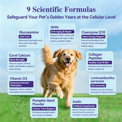 HaBibi® NMN Supplement for Large Dogs – Vitality, Mobility & Healthy Aging Support