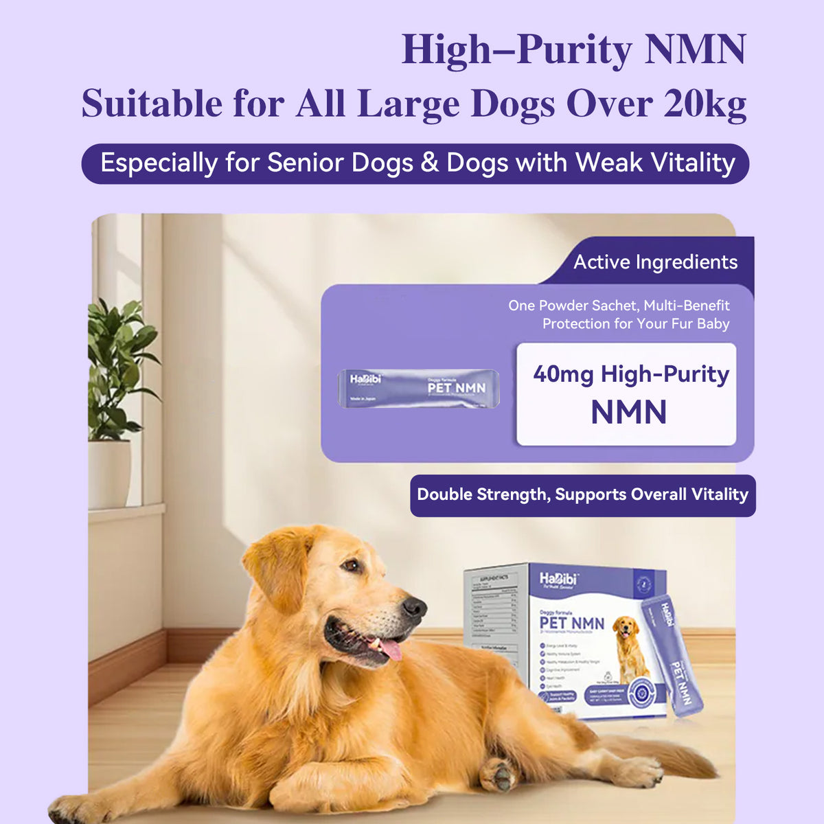 HaBibi® NMN Supplement for Large Dogs – Vitality, Mobility & Healthy Aging Support