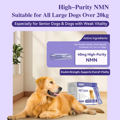 HaBibi® NMN Supplement for Large Dogs – Vitality, Mobility & Healthy Aging Support